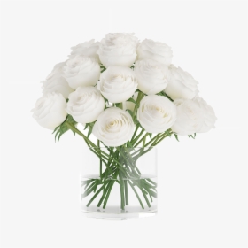 White Roses Png Free Download - Rose, Transparent Png, Free Download