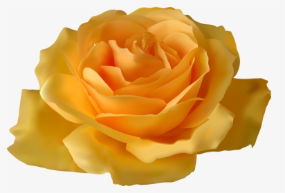 Yellow Rose Png Clipart - Blue Rose Transparent Background, Png Download, Free Download
