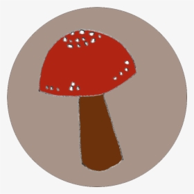 Toadstool Easy Embroidery Kit - Shiitake, HD Png Download, Free Download
