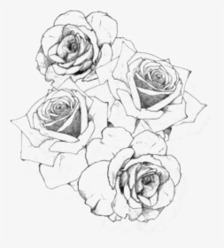 Transparent Rose Png - Bouquet Of Roses Drawing, Png Download, Free Download