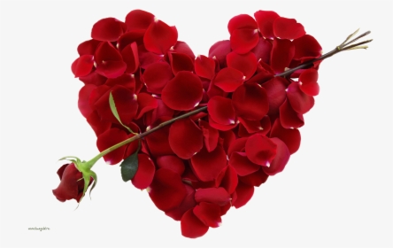 Download And Use Rose Transparent Png File - Valentines Day Flower Heart, Png Download, Free Download