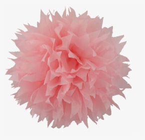 Pom Images In Collection Transparent Background - Ultrasupernew Logo Png, Png Download, Free Download