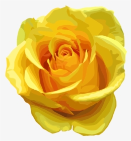 Download Yellow Rose Png Transparent Image - Yellow Rose .png, Png Download, Free Download