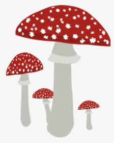 Mushrooms Clipart Image - Fungi Clipart Transparent Background, HD Png Download, Free Download