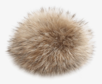Coyote Fur Pom - Fur Pom Pom Transparent, HD Png Download, Free Download
