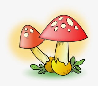 Clipart - Mushrooms - Mushroom Clipart, HD Png Download, Free Download