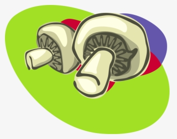 Vector Illustration Of Edible Mushroom Or Toadstool - Illustration, HD Png Download, Free Download