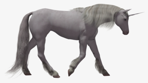 Best Free Unicorn Transparent Png Image - Portable Network Graphics, Png Download, Free Download