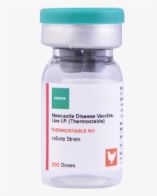 Thermostable Nd 200 - Nd Lasota Vaccine Price In India, HD Png Download, Free Download