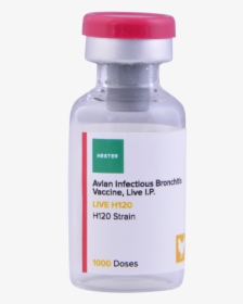 Live H120 1000 - Avian Infectious Bronchitis Attenuated Vaccine, HD Png Download, Free Download