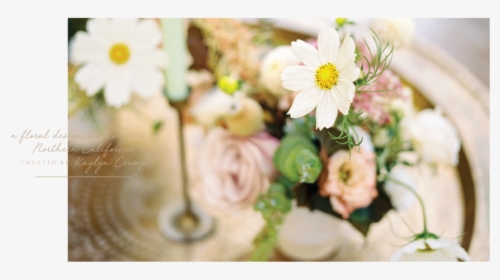 Willow & Magnolia Home Page Slider-03 - Daisy, HD Png Download, Free Download