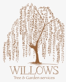 Weeping Willow Tattoo Artist Tree Drawing Weeping Willow Willow Tree Silhouette Hd Png Download Kindpng
