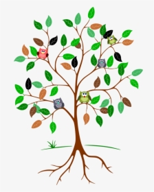Plant,flora,leaf - Drawing Tree With Roots, HD Png Download, Free Download