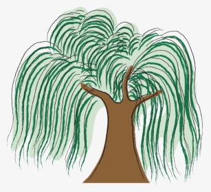 Willow - Illustration, HD Png Download, Free Download
