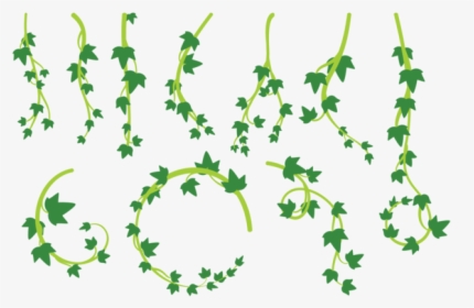 Liana Leaves Vector - Lianas Png, Transparent Png, Free Download