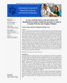 Document, HD Png Download, Free Download