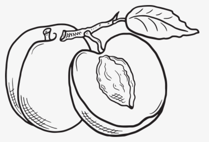 Clipart Cpeaches Black And White, HD Png Download, Free Download