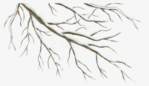 Free Png Winter Branch Png - Winter Tree Branch Clipart, Transparent Png, Free Download