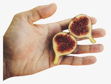 Carica Fruit Sliced - Common Fig, HD Png Download, Free Download