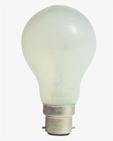 Lamp Png Image - Incandescent Light Bulb, Transparent Png, Free Download