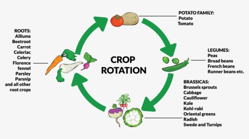 Crop Rotation, HD Png Download, Free Download