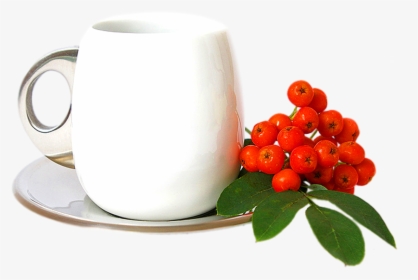 Coffee Cup Transparent Images, Green Tea Png Images - Coffee Cup, Png Download, Free Download