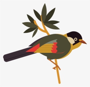 Birds, HD Png Download, Free Download