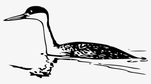 Shorebird,crane,water Bird - Horned Grebe Clip Art, HD Png Download, Free Download