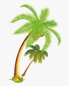 Long Coconut Tree Png Picture - Coconut Tree Clipart Png, Transparent Png, Free Download