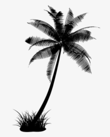 Black Coconut Tree Transparent - Coconut Tree Silhouette Png, Png Download, Free Download