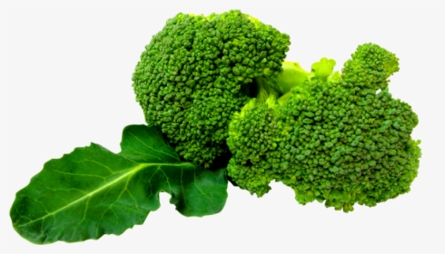 Broccoli Background Green Transparent - Broccoli Png Hd, Png Download, Free Download