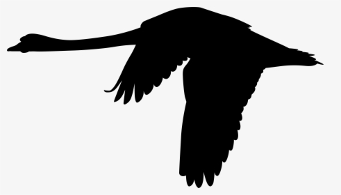 Transparent Goose Clipart Black And White - Flying Swan Clip Art, HD Png Download, Free Download
