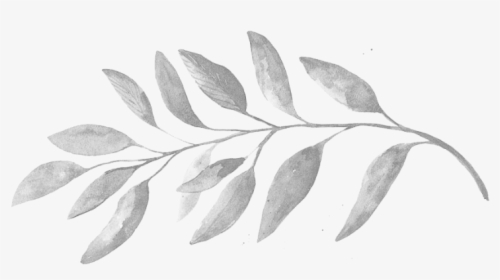 Thumb Image - Black And White Leaf Png, Transparent Png, Free Download