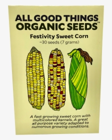 Festivity Sweet Corn - Seed, HD Png Download, Free Download