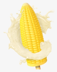 Sweet Corn - Corn On The Cob, HD Png Download, Free Download
