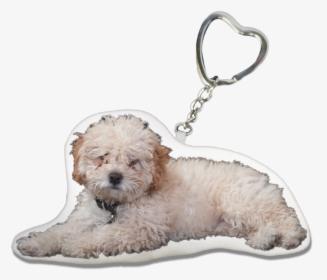 Poodle Key-chain - Glen Of Imaal Terrier, HD Png Download, Free Download