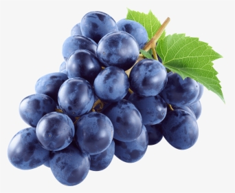 Black Grapes"  Class= - Grape Stock, HD Png Download, Free Download