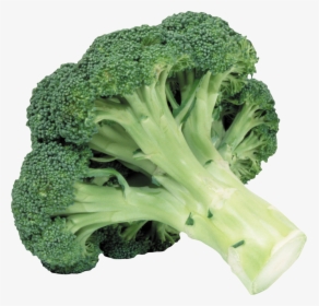 Broccoli Png Image - Broccoli Transparent, Png Download, Free Download