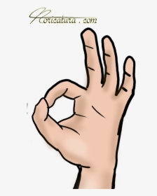 Mão Whatsapp Png, Transparent Png, Free Download