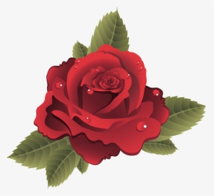 10 Roses Vector Png Files Images Flower Vector Graphics - Kutlu Doğum Davetiye Örnekleri, Transparent Png, Free Download