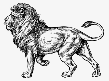 what does mean lion clipart