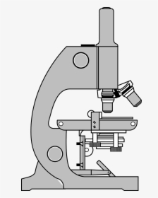 Gambar Mikroskop Sketsa, HD Png Download, Free Download