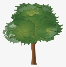 Tree Elevation, HD Png Download, Free Download