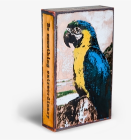 Parrot, HD Png Download, Free Download
