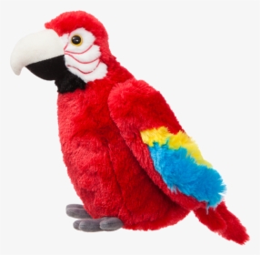 Soft Toy Parrot, HD Png Download, Free Download