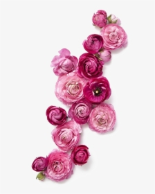 Rose Flower Wedding Invitation Pink - Fuschia Pink Flower Png, Transparent Png, Free Download