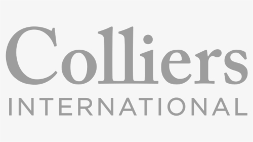 Colliers - Graphics, HD Png Download, Free Download