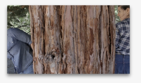 Lumber, HD Png Download, Free Download