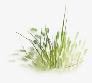Grass Watercolor Png, Transparent Png, Free Download