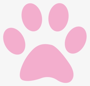 Circle, HD Png Download, Free Download